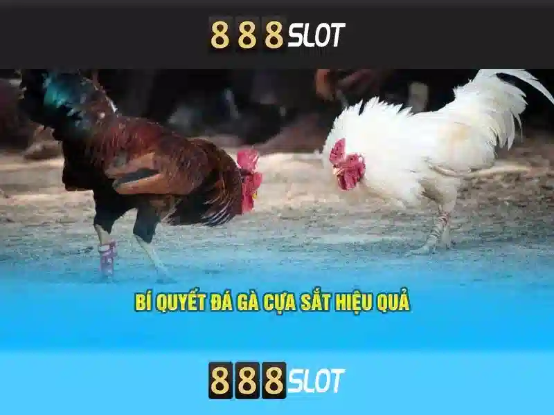 Ket-luan-888slot
