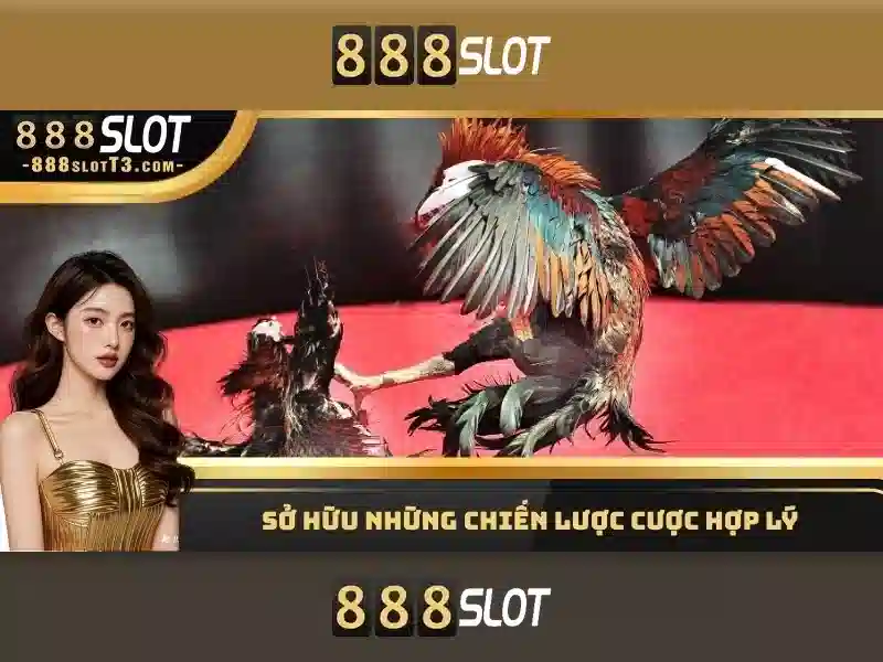 888slot – nền tảng chơi slot trực tuyến đáng chú ý
