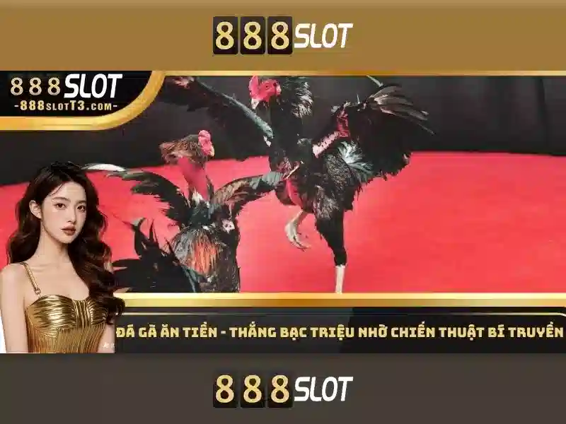 overview of 888slot terms