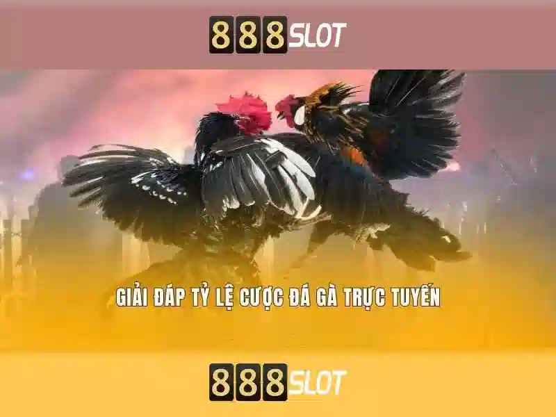An toàn và hỗ trợ người chơi