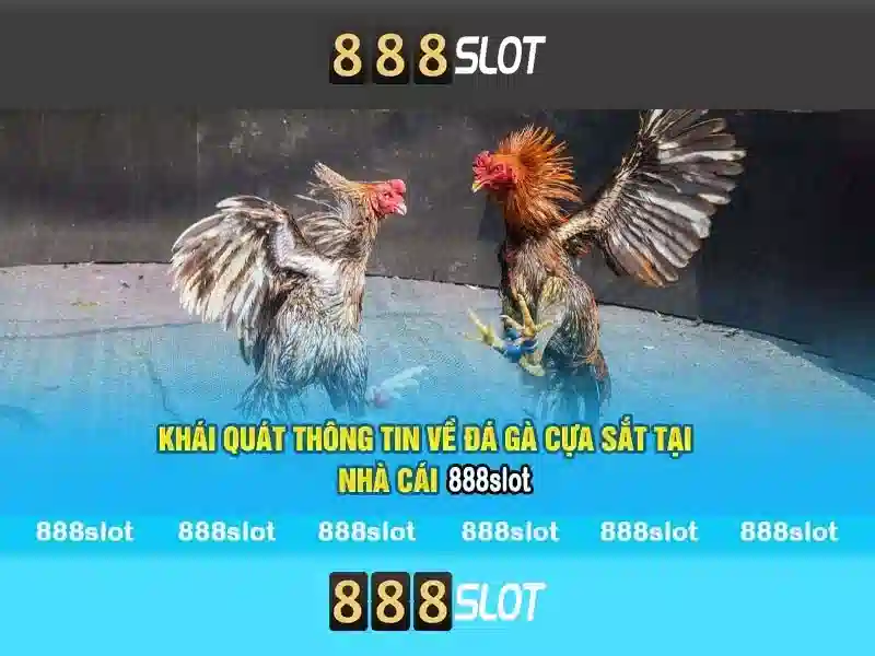 888slot: Trải nghiệm máy đánh bạc trực tuyến hàng đầu