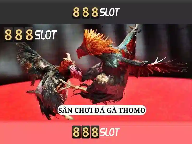 888slot: Đánh giá tổng quan về nền tảng casino trực tuyến