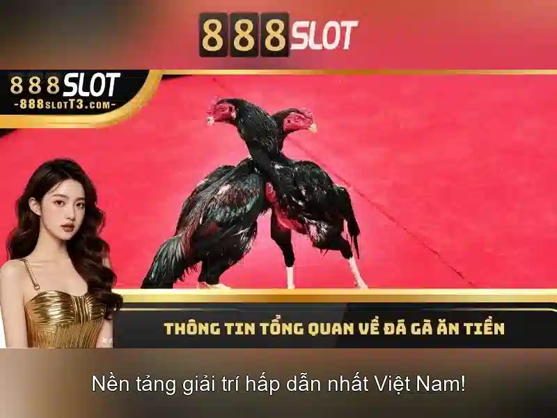 Quy-trinh-dang-nhap
