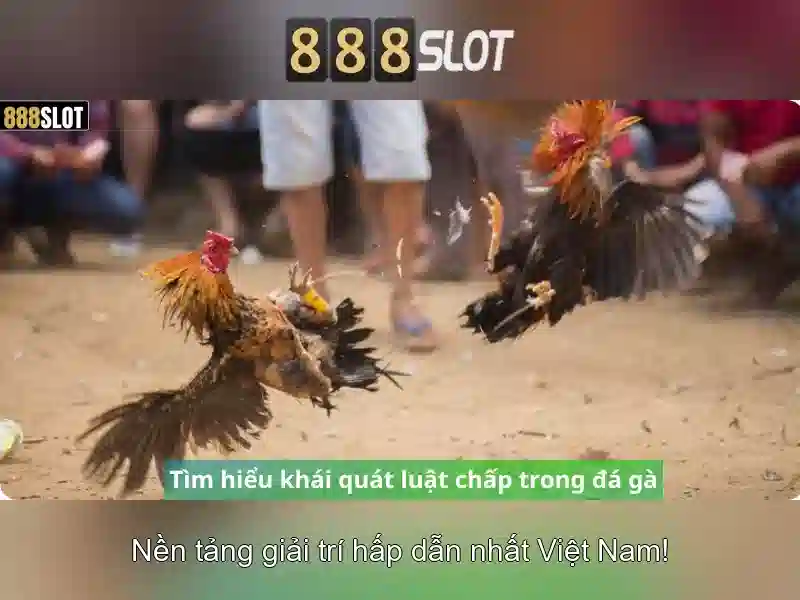 888slot: Đánh giá toàn diện về nền tảng casino trực tuyến