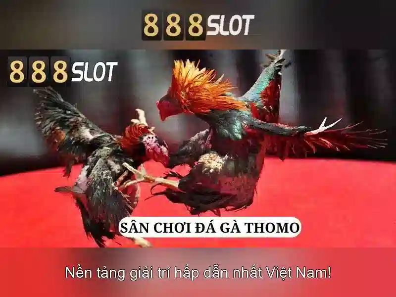 An toàn và cấp phép