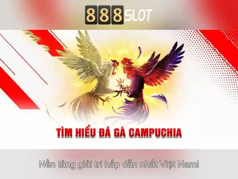 888slot - Trải nghiệm đánh bạc trực tuyến hàng đầu